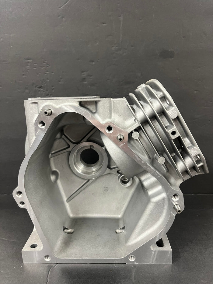 206-ANIMAL-WORLD FORMULA BLOCK 84011134-WAS 555705  REQUIRES CRANKCASE COVER 84011136