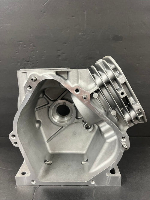 206-ANIMAL-WORLD FORMULA BLOCK 84011134-WAS 555705  REQUIRES CRANKCASE COVER 84011136
