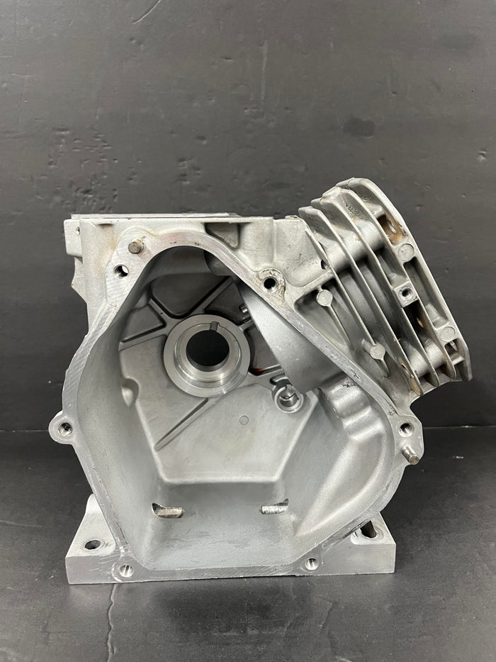 206-ANIMAL-WORLD FORMULA BLOCK 84011134-WAS 555705  REQUIRES CRANKCASE COVER 84011136