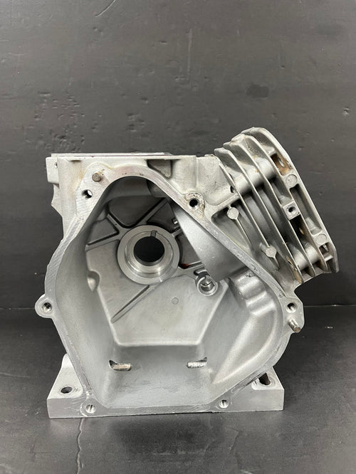206-ANIMAL-WORLD FORMULA BLOCK 84011134-WAS 555705  REQUIRES CRANKCASE COVER 84011136