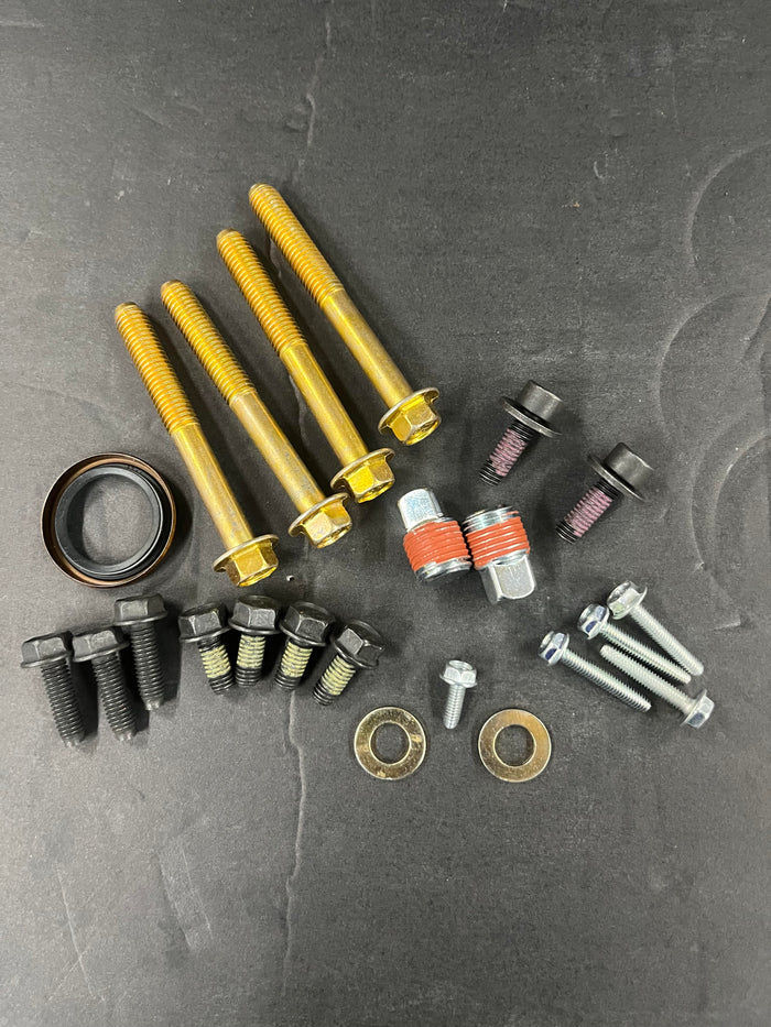 206-ANIMAL-WORLD FORMULA BLOCK 84011134-WAS 555705  REQUIRES CRANKCASE COVER 84011136