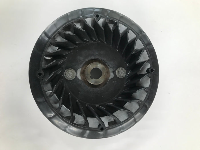 555683 Flywheel For 206, Animal & World Formula