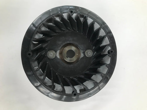 555683 Flywheel For 206, Animal & World Formula