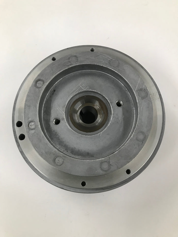 555683 Flywheel For 206, Animal & World Formula