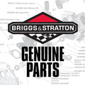 557039 Spark Plug WF