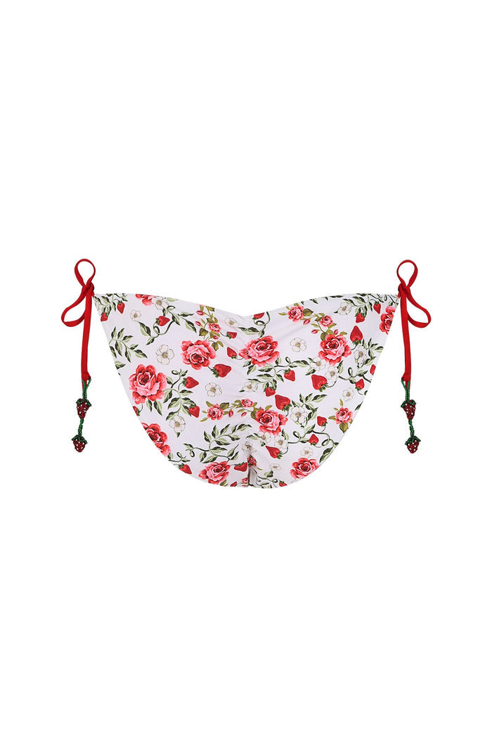 ABxStoneyClover-Alegria-Bikini-Bottom-22542-5.jpg