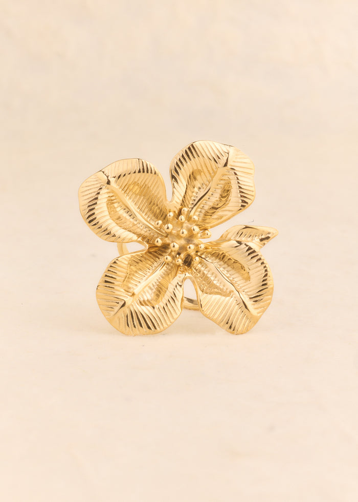 Bague Akma