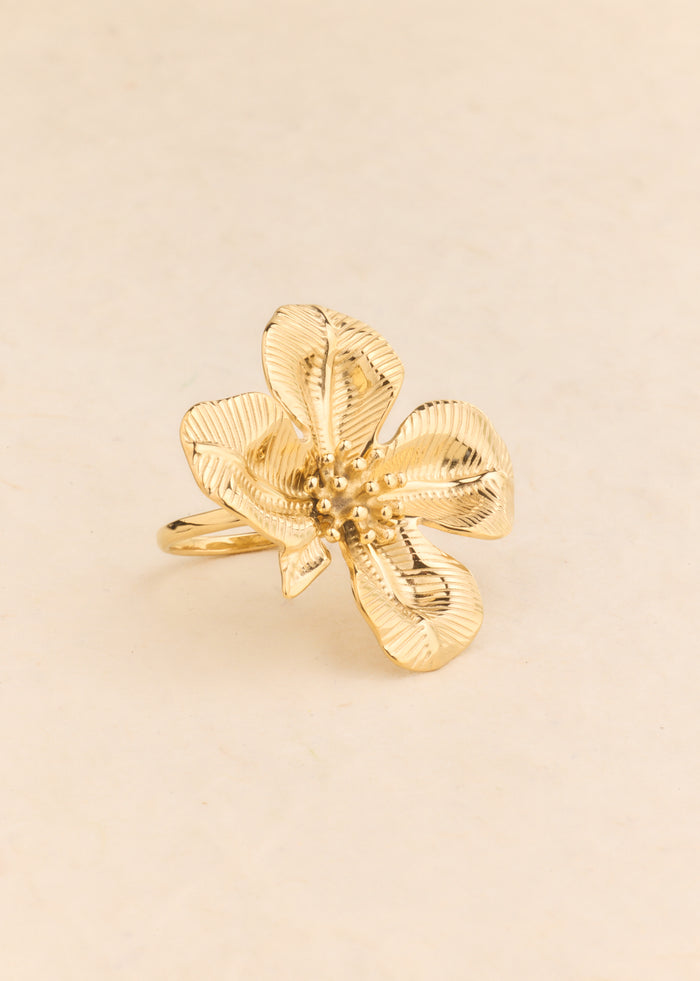 Bague Akma