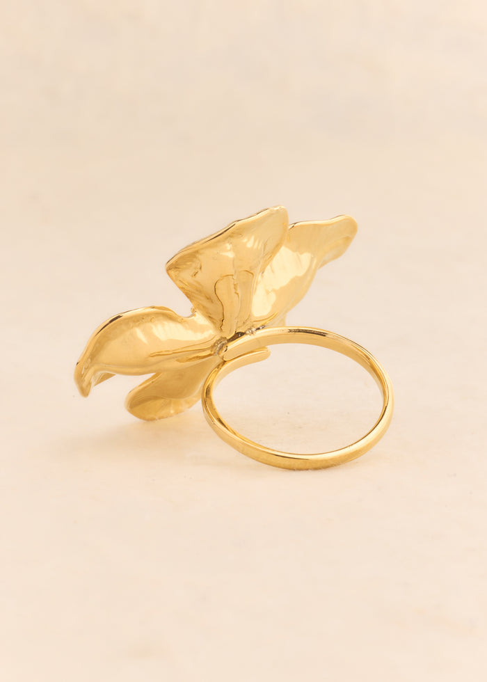 Bague Akma