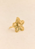 Bague Aseta