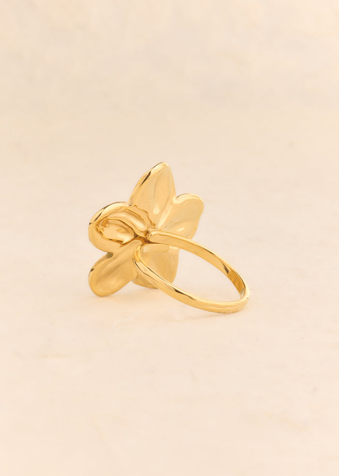 Bague Aseta