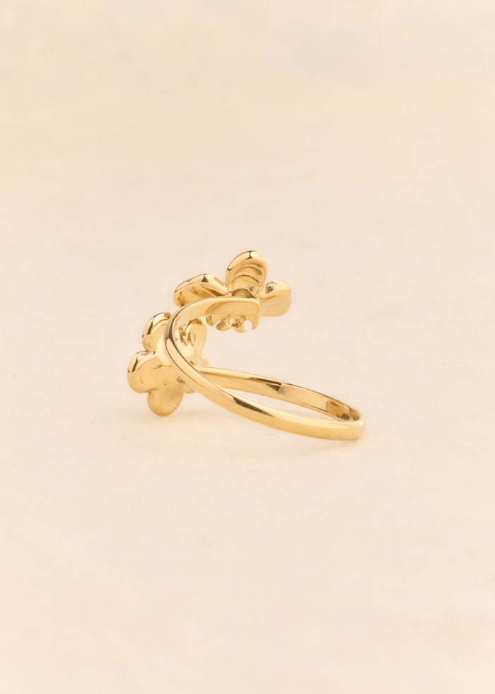 Bague Gina