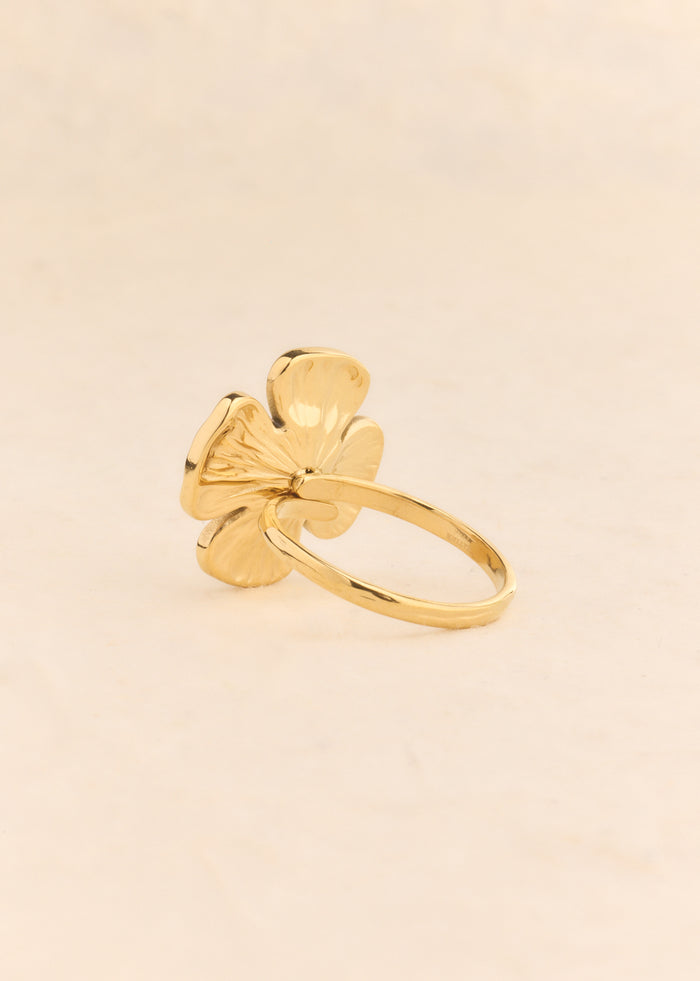 Bague Iben