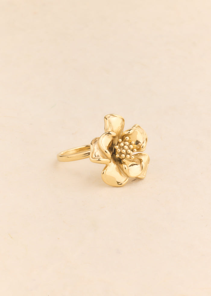 Bague Iz