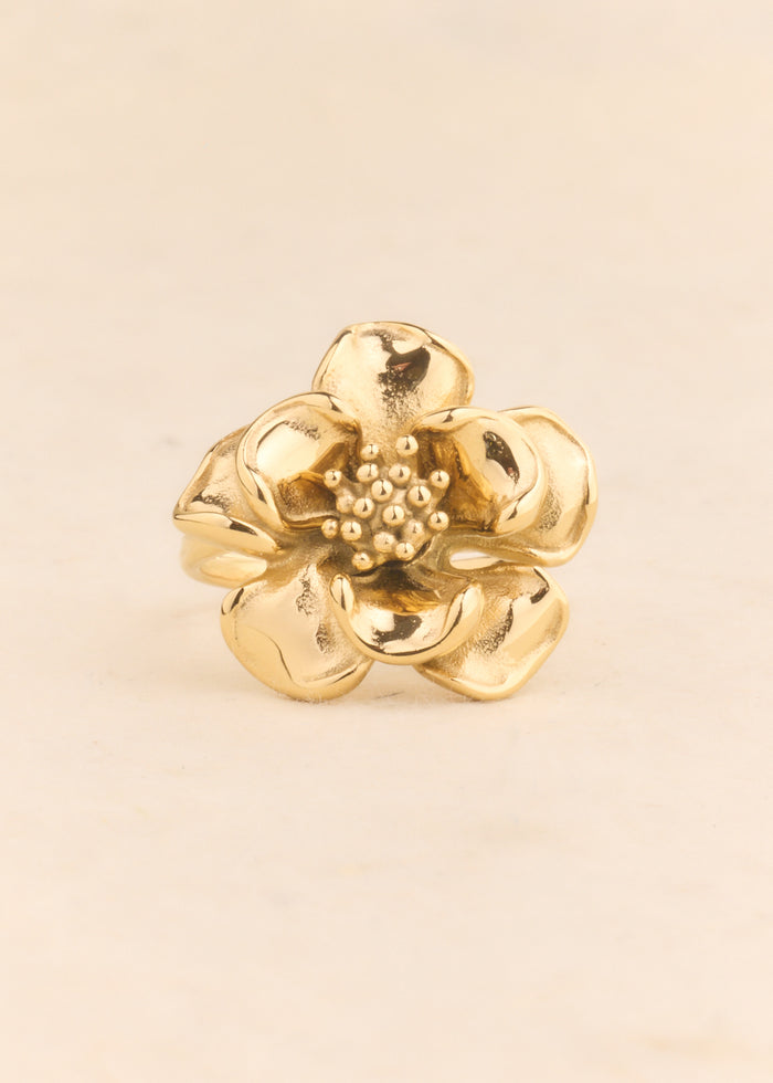 Bague Iz