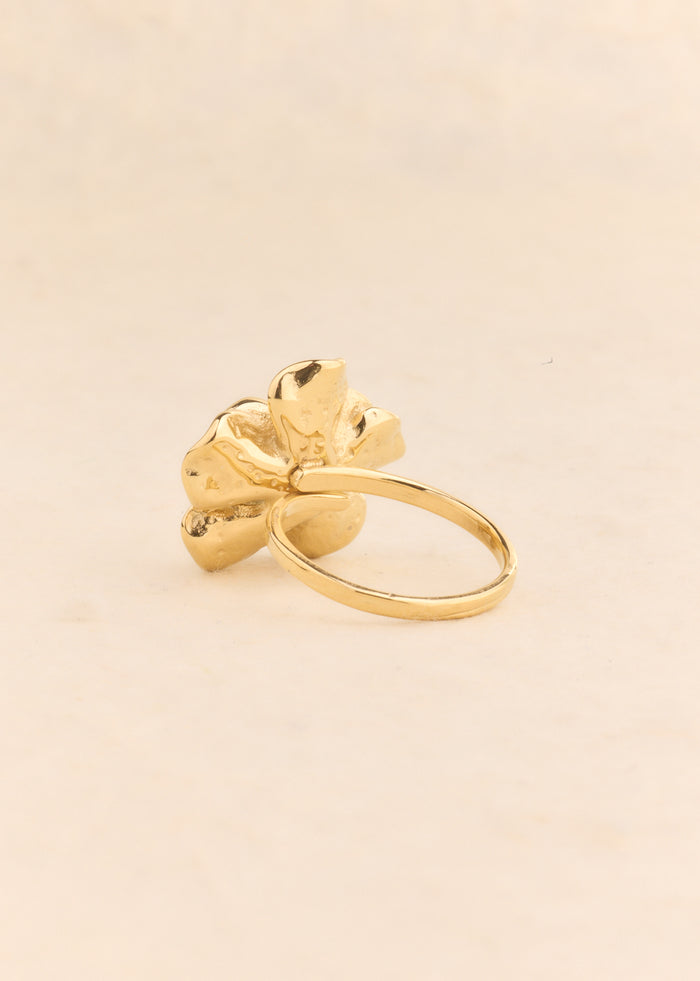 Bague Iz