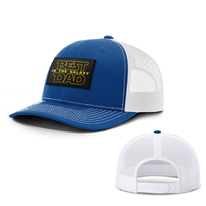 Snapback Trucker / Royal Blue and White / One Size