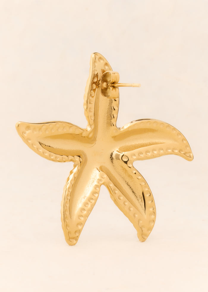 Boucles d'oreilles Ari