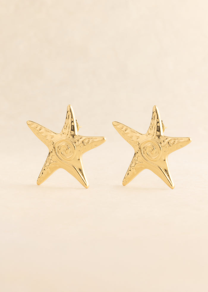 Boucles d'oreilles Niall