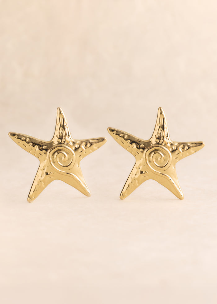 Boucles d'oreilles Niall