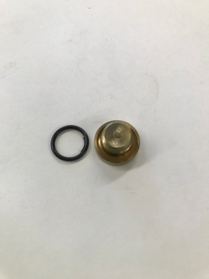 Carb Bowl Drain (use after 05/05/31) - 555659