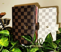 Checkered A6 Budget Binder: Savings Challenge Cash Envelope Planner, Matte Vellum Challenges