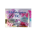 Cherry Blossom DC Monuments Magnet