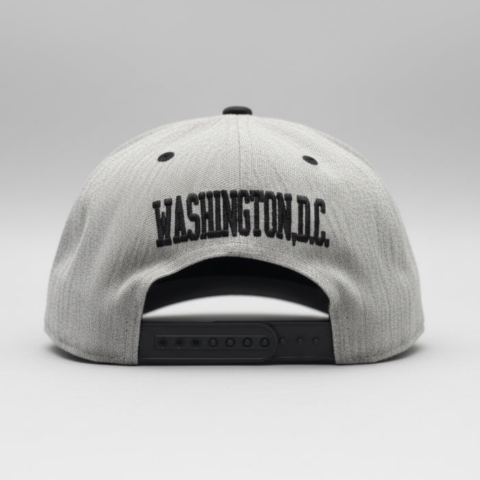 DC Snapback.