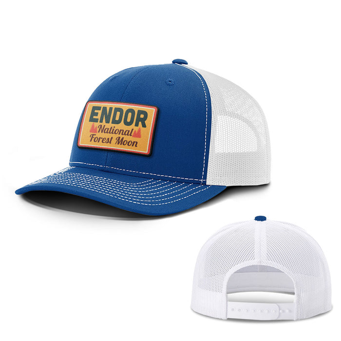 Snapback Trucker / Royal Blue and White / One Size