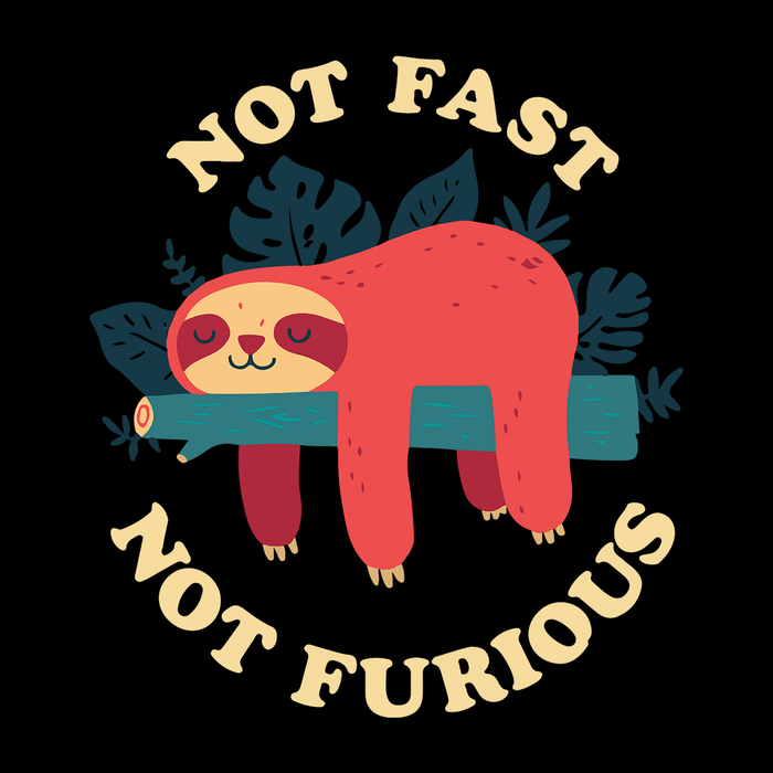 Funny Sloth Not Fast Not Furious Baby One-Piece