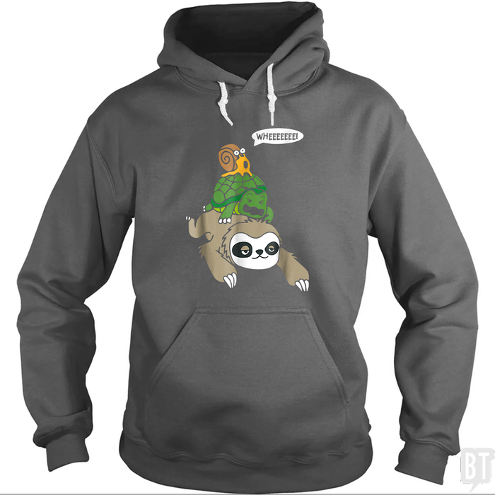 Funny Snail Ridding Turtle Ridding Sloth Hoodie
