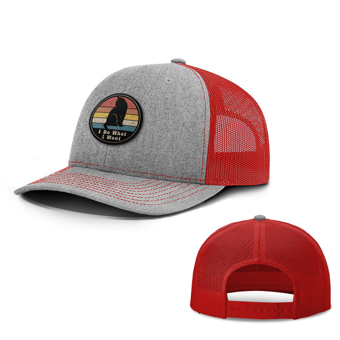 I Do What I Want Patch Hats - BustedTees.com