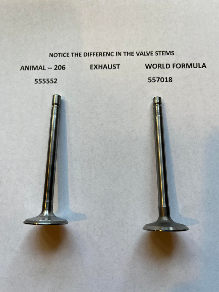 INTAKE VALVE 555551 FOR LO 206
