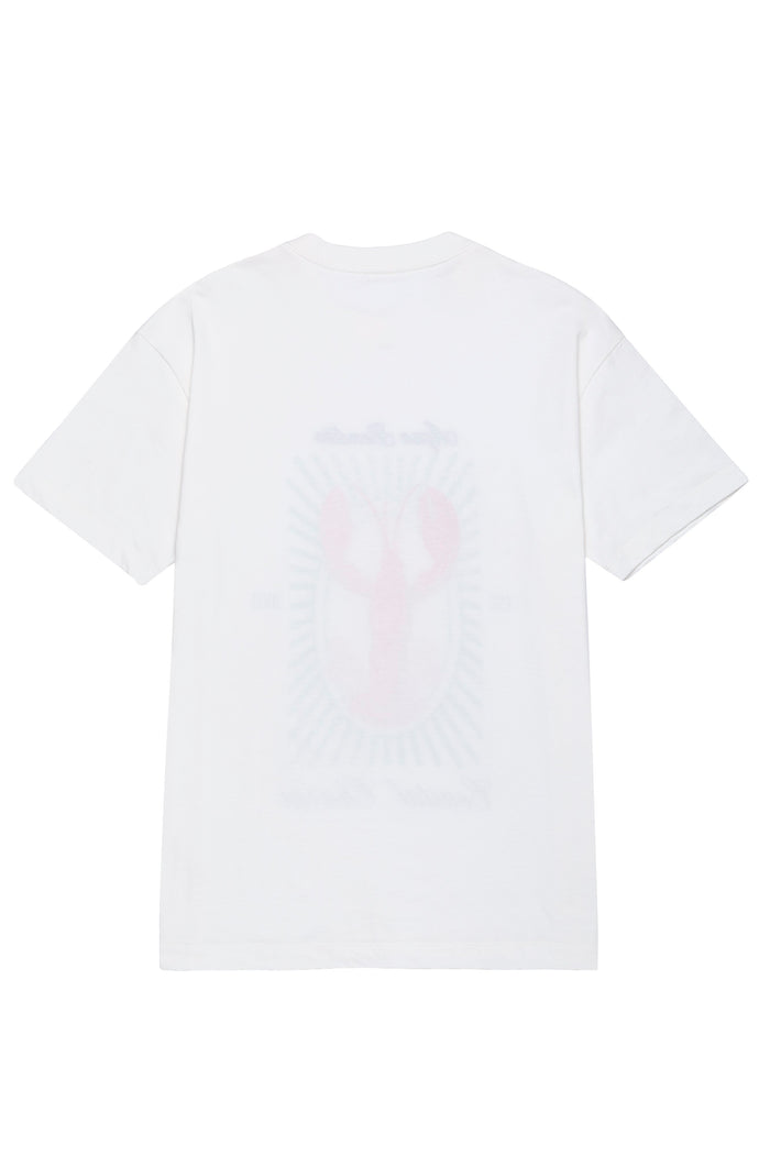 White oversized t-shirt with subtle pastel embroidered graphic on back, short sleeves and relaxed fit