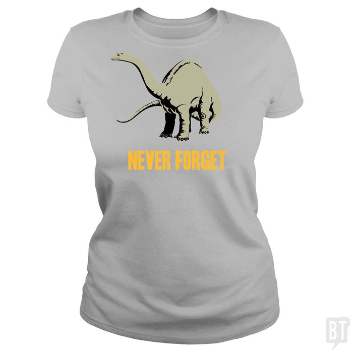 Classic Ladies Tee / Sport Grey / S