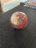 Petrified wood