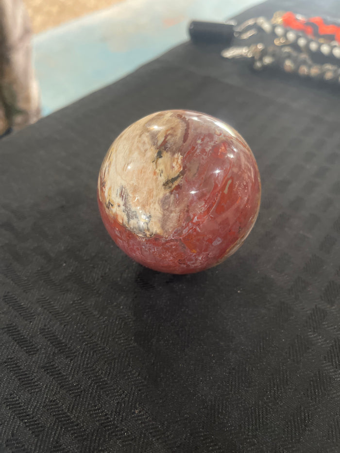 Petrified wood