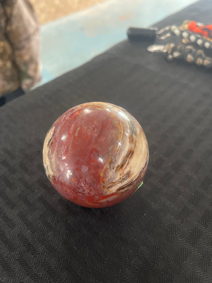 Petrified wood