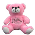Pink Sakura Washington DC Bear Plushie