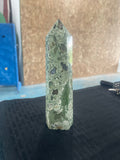 Rainforest Jasper