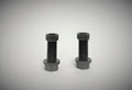 Roller Rocker Lash Adjusters