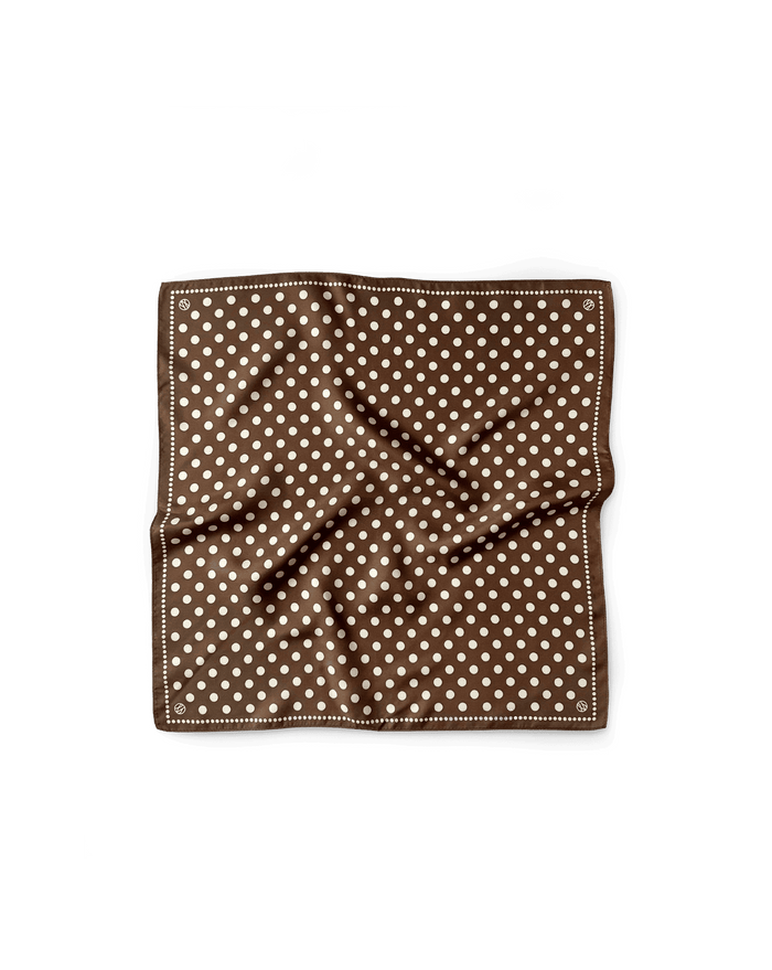 Silk Polka Dot Scarf