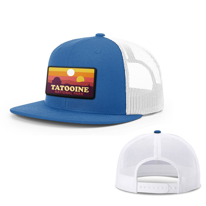 Snapback Flatbill / Royal Blue and White / One Size