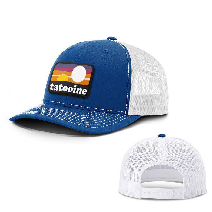 Snapback Trucker / Royal Blue and White / One Size