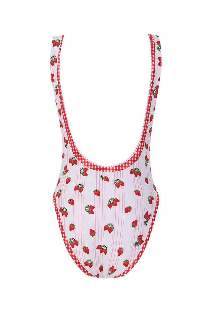 ABxStoneyClover-Tribeca-One-Piece-Swimsuit-22543-5.jpg