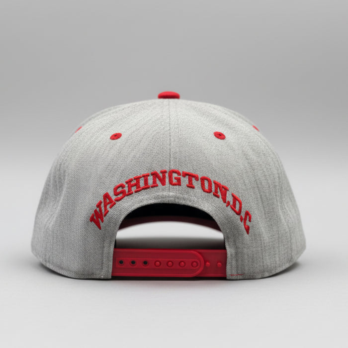 Washington DC Baseball Style Snapback.