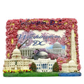Washington DC Cherry Blossom Picture Frame
