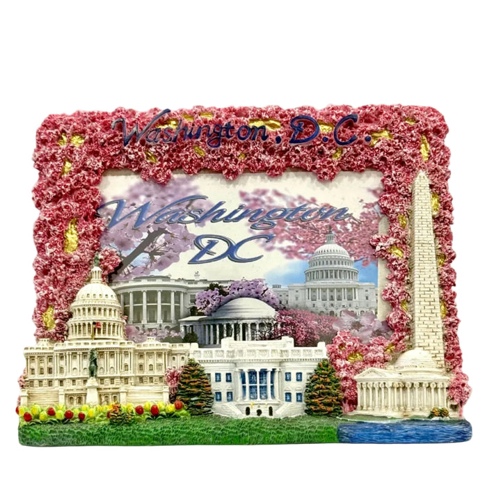 Washington DC Cherry Blossom Picture Frame
