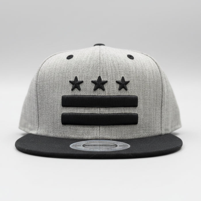 Washington DC Flag Snapback.