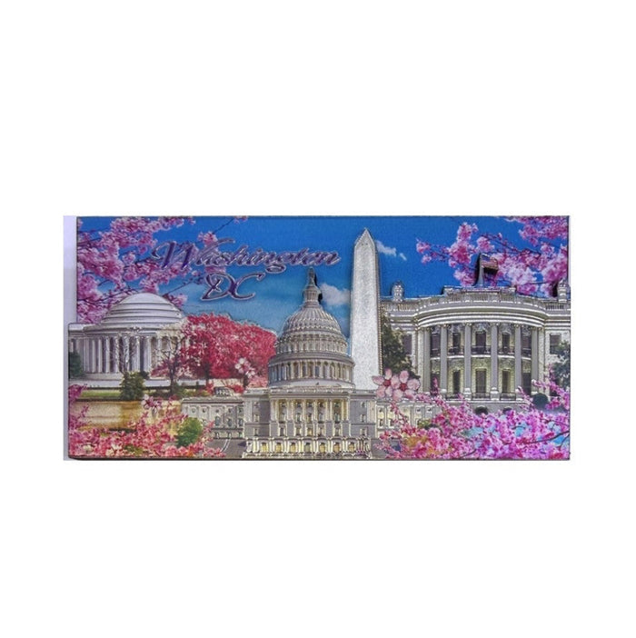 Washington DC Rectangular Magnet